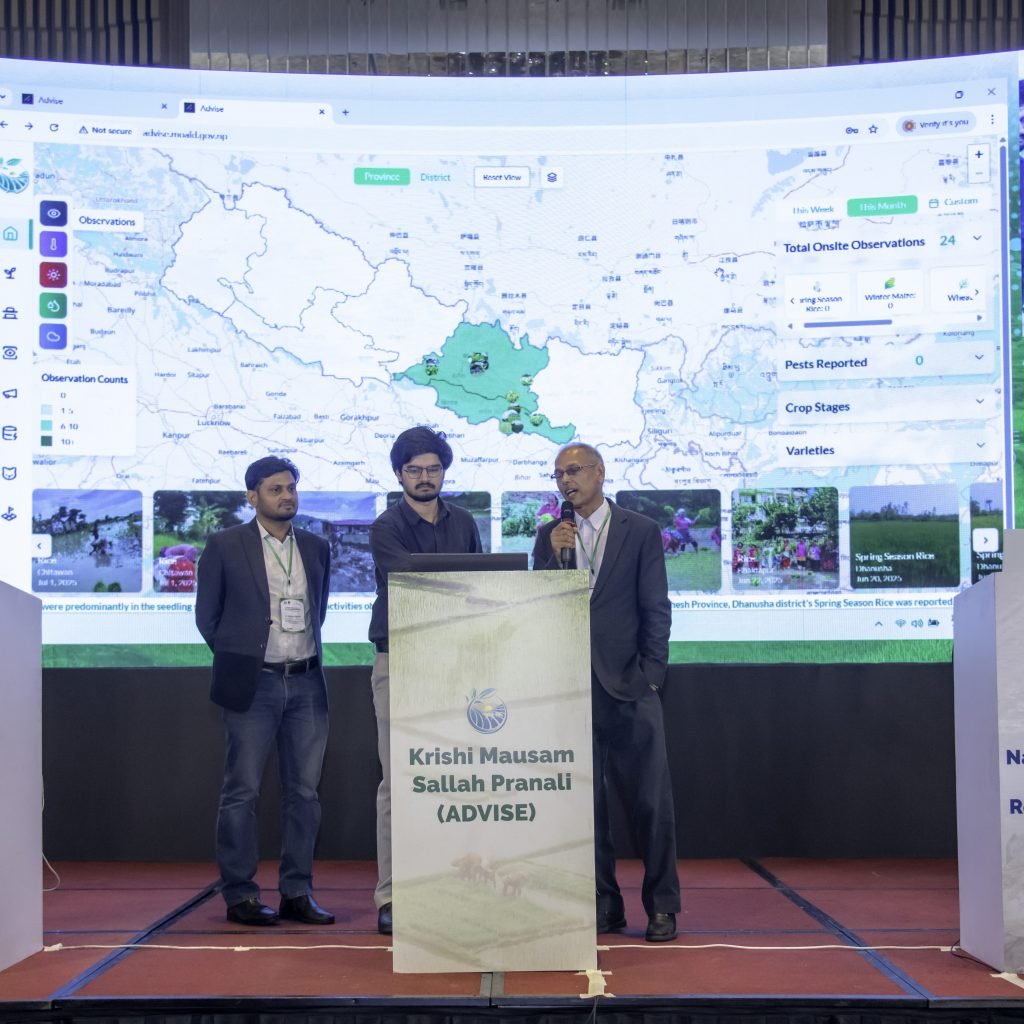 Presentations on each developed project